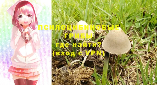 мяу мяу мука Абдулино