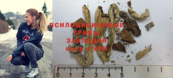 мяу мяу мука Абдулино