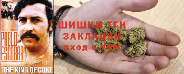 гидра Ельня