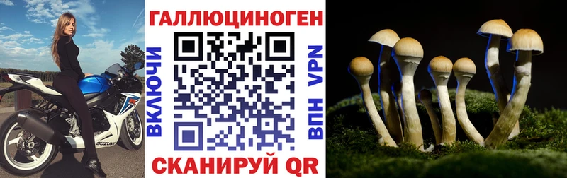 Галлюциногенные грибы MAGIC MUSHROOMS  мориарти наркотические препараты  Королёв 